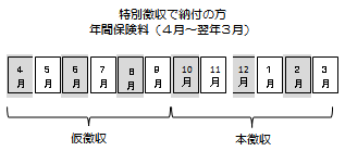 年間保険料(特別徴収)の図