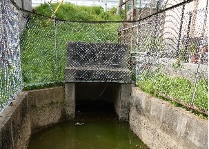 伏越樋を正面から見た写真