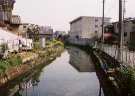 二十箇用水付近(住宅街)の写真