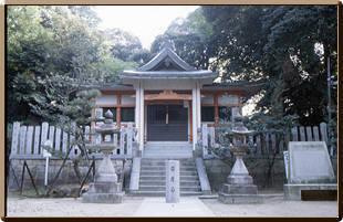 社殿を囲むように巨木が数本生育する春日神社のスダジイの社叢写真