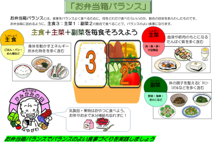 「お弁当箱バランス」のチラシ