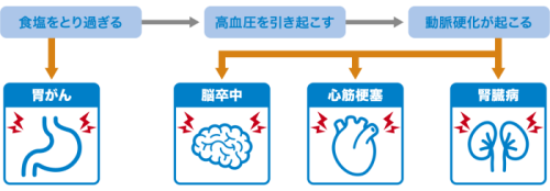 食塩をとり過ぎると引き起こす病気の一覧