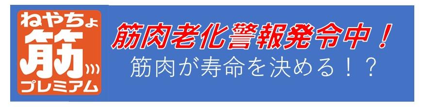 タイトルロゴ