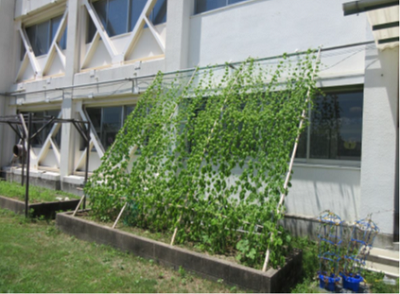 田井小学校