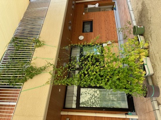 明徳保育園1