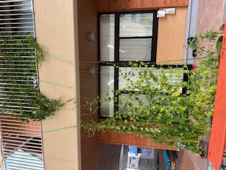 明徳保育園2