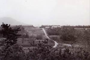 手前の森から丘の方に1本の道が伸びており左右は段々畑の昔の白黒写真