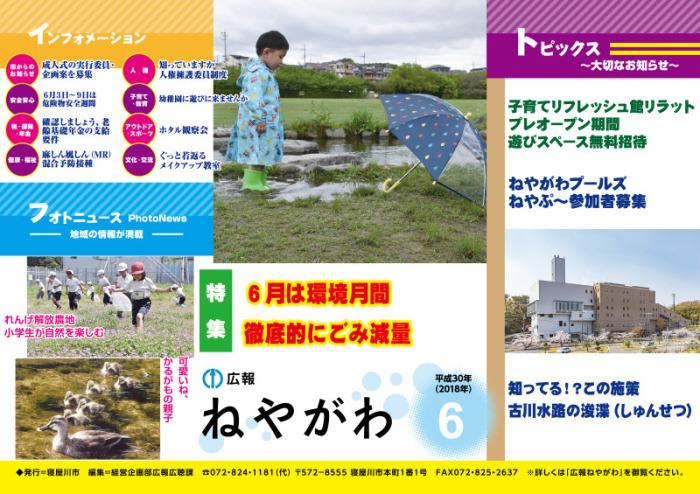 広報ねやがわ6月号