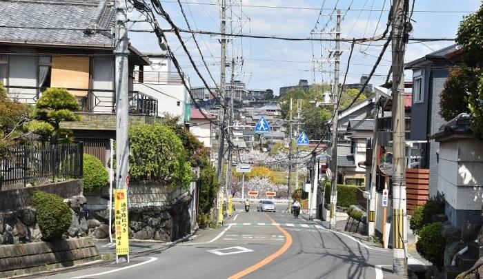 正面の交差点に向かって道路が走っており、道路の両側に住宅や木々が立ち並び、坂の上から下を見下ろしている様子の写真