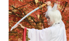 写真に納まる観光PRサポーターのコスプレファン