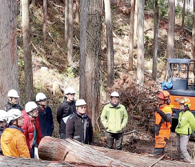 林業の担い手を育てる体験ツアー