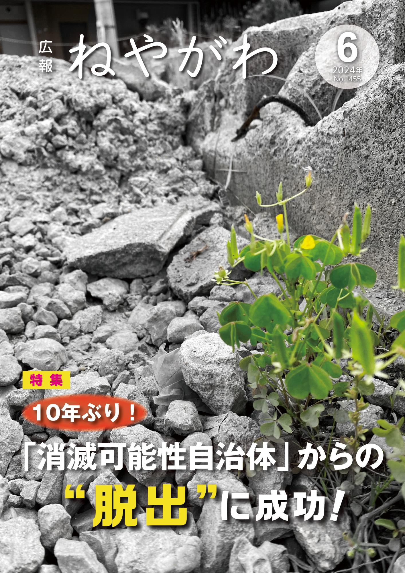 広報ねやがわ6月号表紙