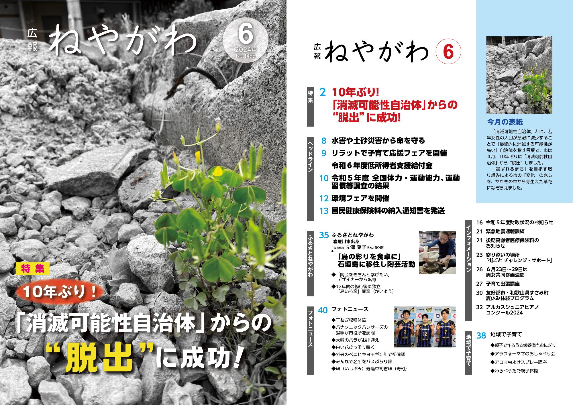広報ねやがわ6月号