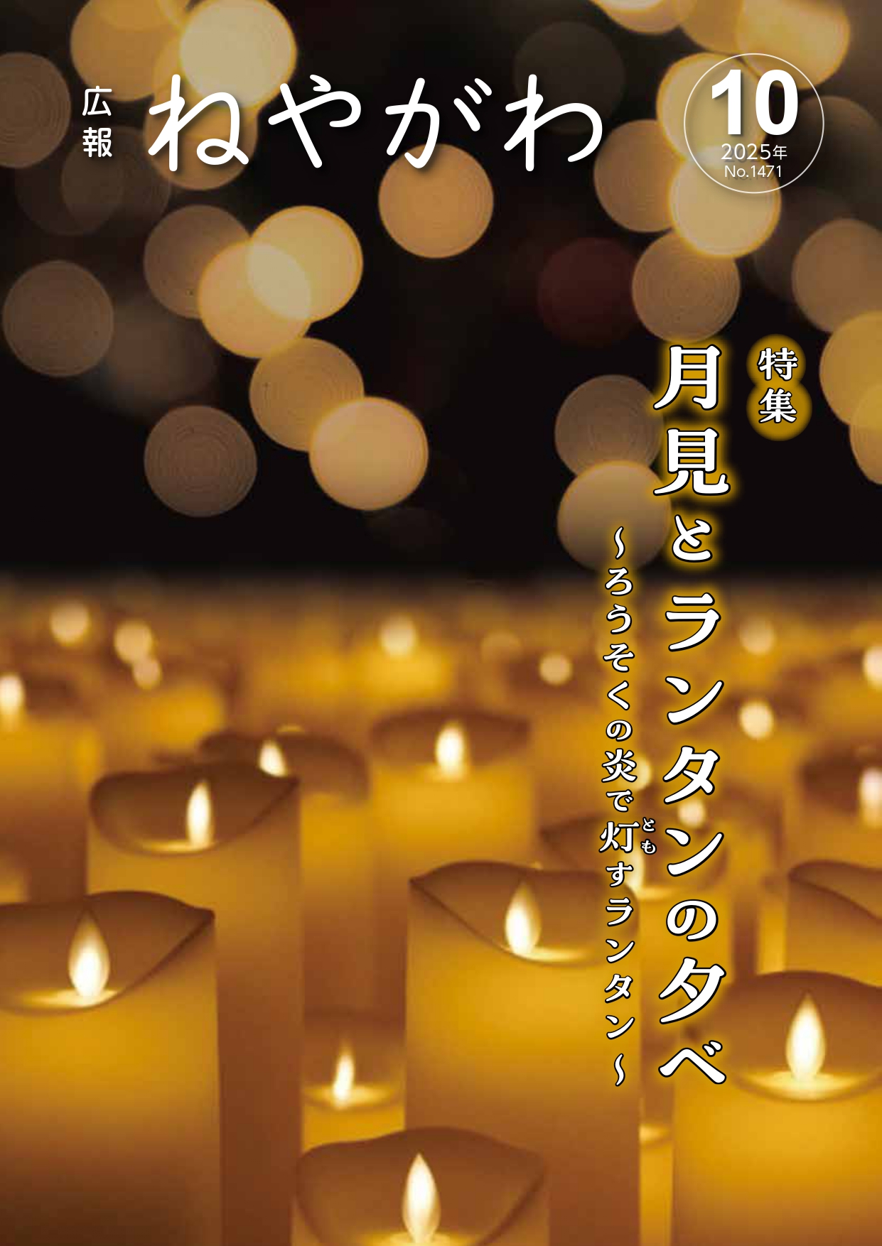 広報ねやがわ8月号表紙