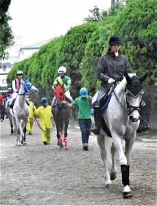 葦毛の誘導馬に乗っている女性、その後ろから馬を誘導している人、馬の背に乗っている騎手の写真