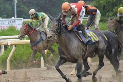 競走馬の背に騎乗し、レースに参加で走っている騎手の方々の写真