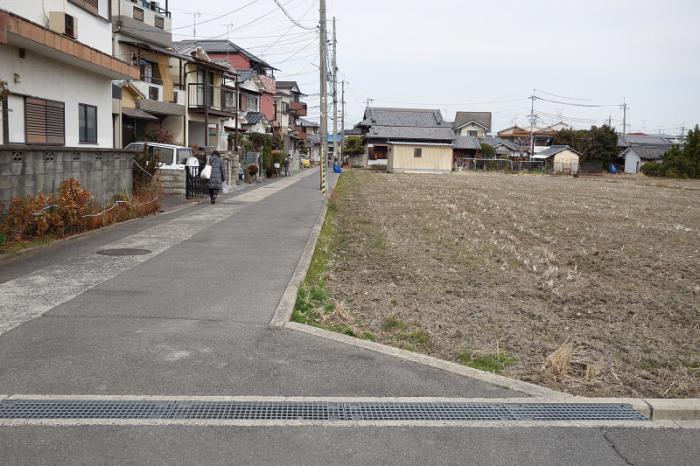 田んぼと住宅の間に道路があり、女性が歩いている写真