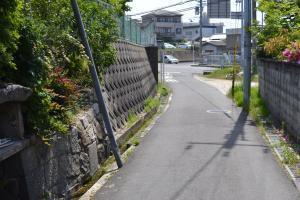 舗装された道路に面した土手が擁壁で補強された写真