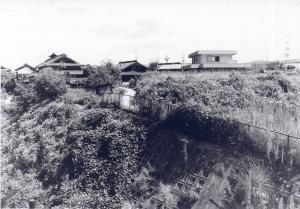 高台に建っている民家の周りに木々が生い茂っている白黒写真