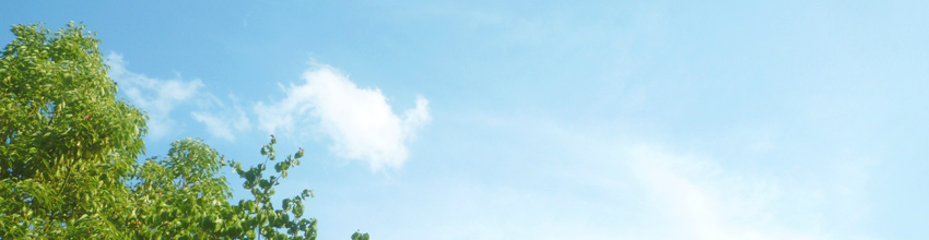 桜小学校