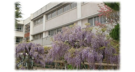三井小学校