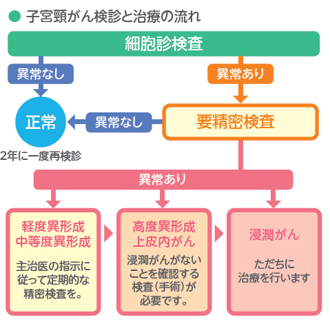 要精密検査の流れ