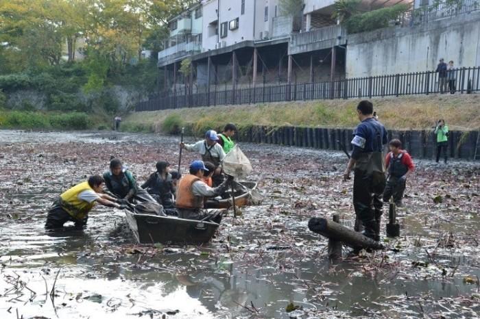 公園内の池に浮かんだ2艘の船に男性たちが乗り、広がったスイレンの除去作業を行っている写真