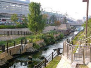 整備後の寝屋川せせらぎ公園の写真