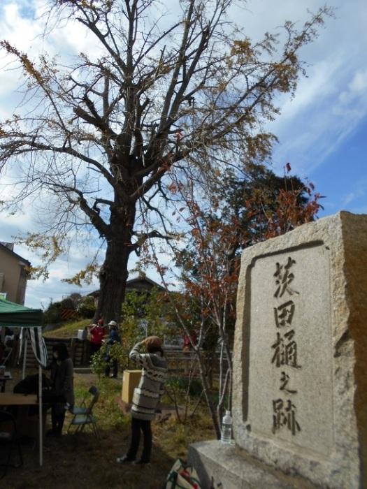 青空の下、大イチョウの横に碑がある写真