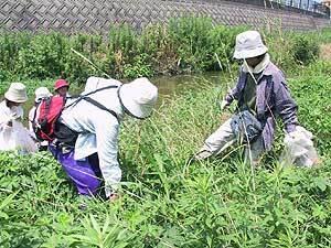 川床でごみを拾う参加者の人達の写真