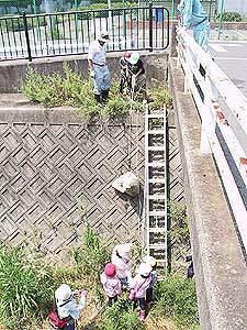 正面のはしごの横でごみを引き上げるところを写した写真