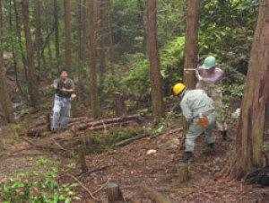 2名の男性がヘルメット姿で1本の木を倒そうと作業している近くに1人の男性が立っている写真