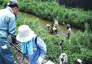 府立工専前の河川に入って調査を行っている参加者の写真