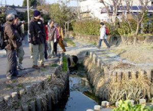 護岸の間に水が溜まっている近自然型護岸を見学している参加者たちの写真