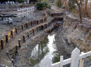 左側に木材で造られた護岸の手前に水が溜まっているビオトープの写真
