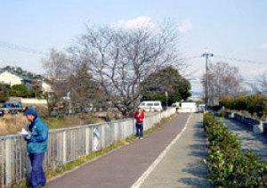 自転車道を歩いてる人や、柵から川を除いている人の写真
