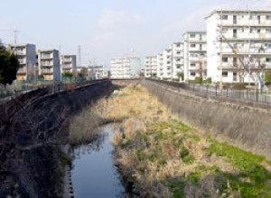 川の両側に団地が建ち並んでいる写真