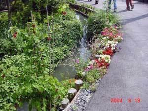 アスファルトの通路の水路の間の護岸に色とりどりの花が咲いている写真