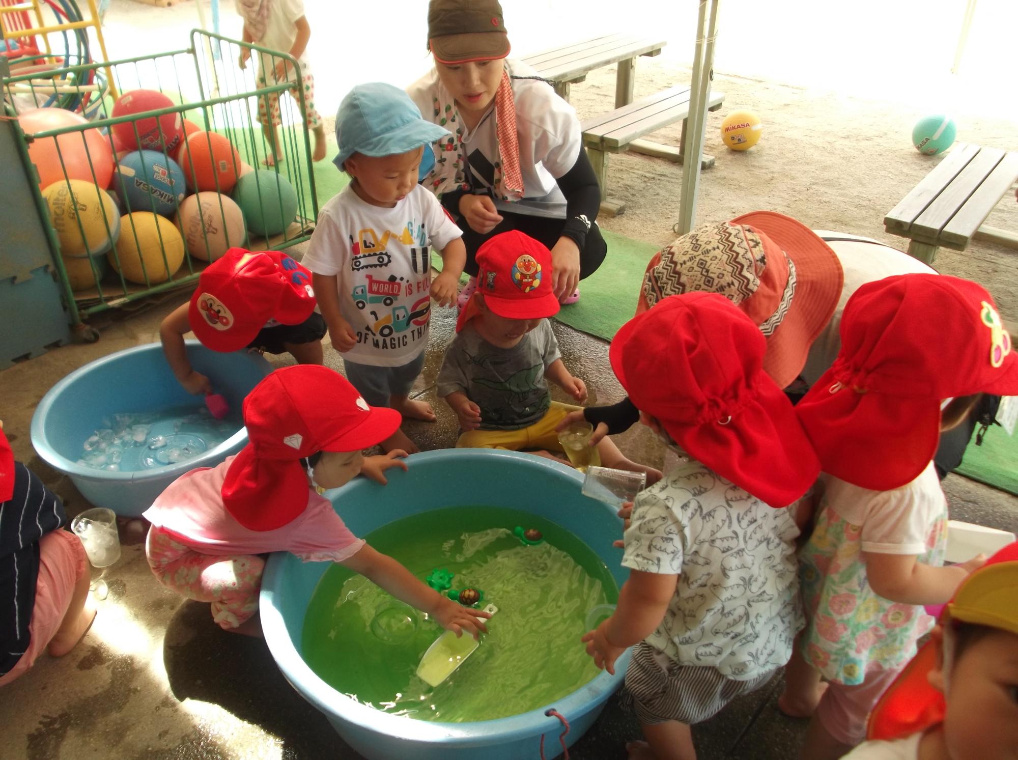 タライの中の緑色の水をペットボトルに汲んでいる子供やタライの中の氷をすくおうとしている子供の写真