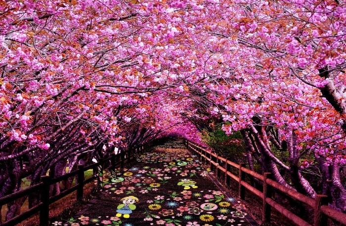 満開の桜並木の下の道にカラフルな花やはちかづきちゃん、ねや丸くんのイラストが映し出されている光の影絵の写真