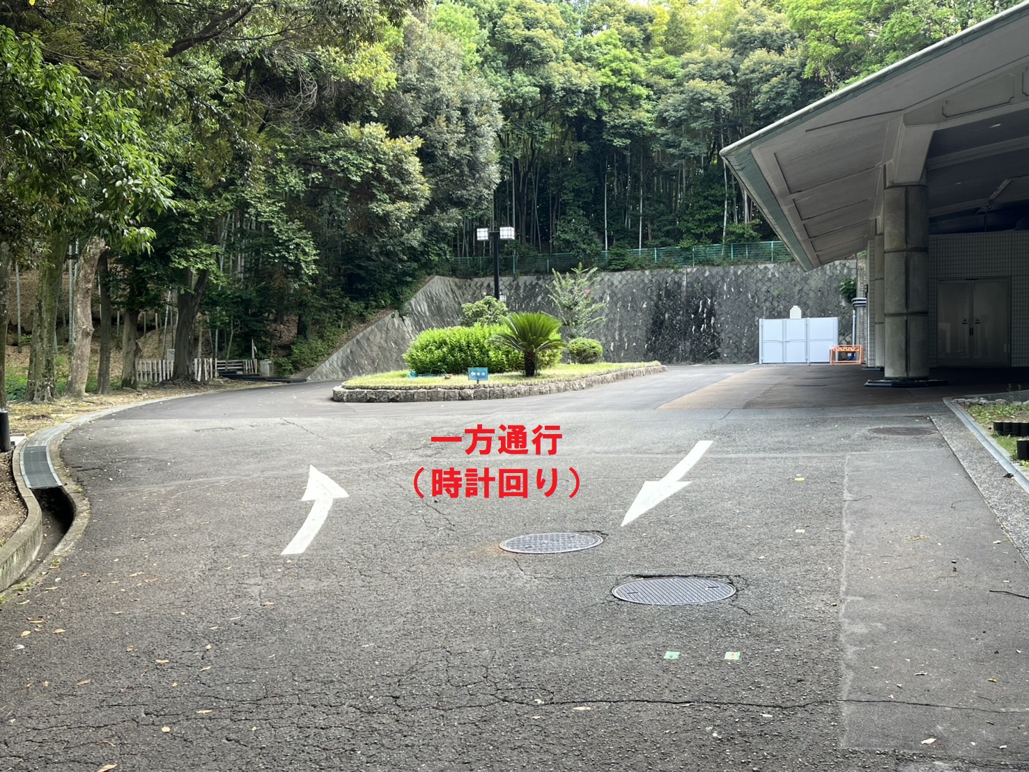 写真⓶