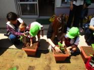 黄緑色の帽子を被った子供たちと親たちがプランターに苗植えをしている写真