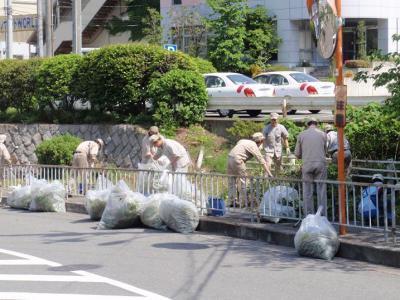 歩道の傍に生えている沢山の草をゴミ袋に入れていく大阪中西金属株式会社の写真たちの写真
