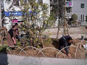 街路樹の傍のごみ拾いをする大阪府セルフメディケーション推進協議会の方々の写真
