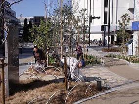 街路樹の傍で清掃をしている白い上着を着た男性の写真