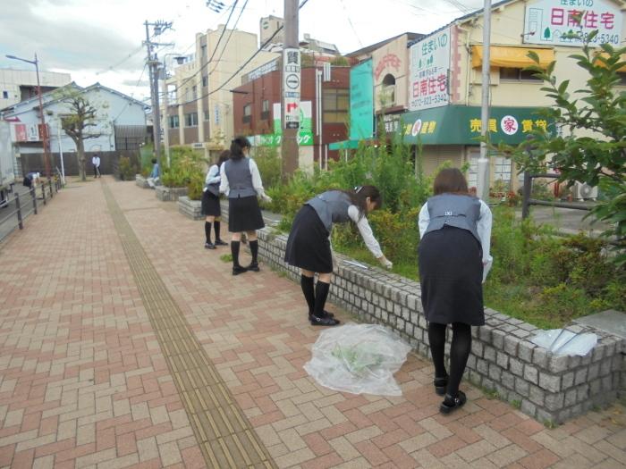 歩道傍のごみを集めている大阪シティ信用金庫寝屋川支店の社員の方々の写真