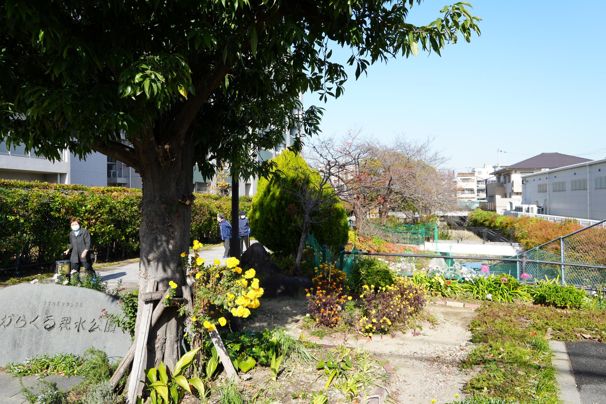 からくる親水公園