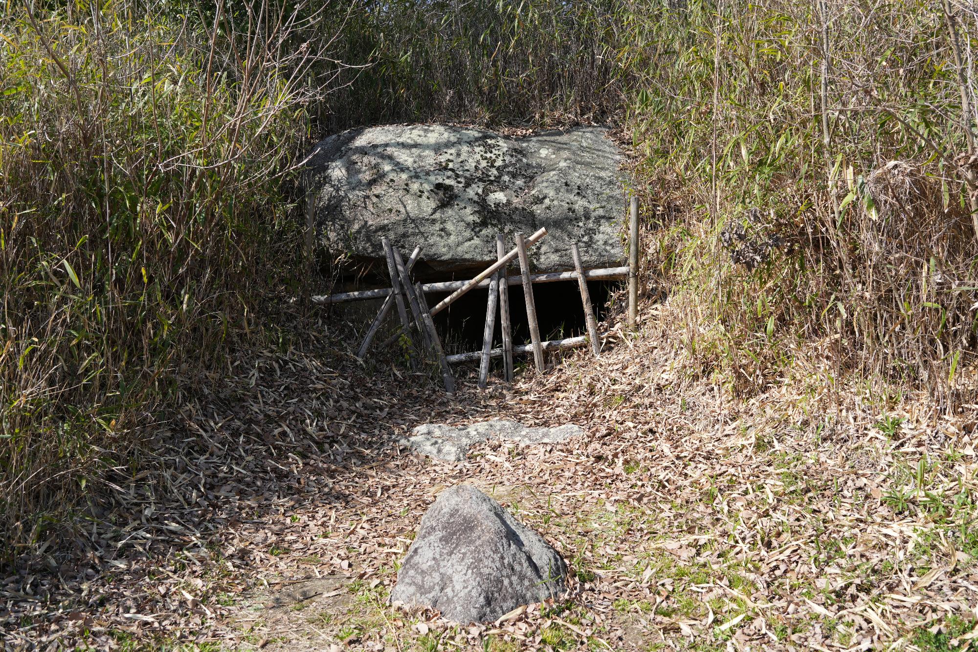 寝屋古墳 アップ