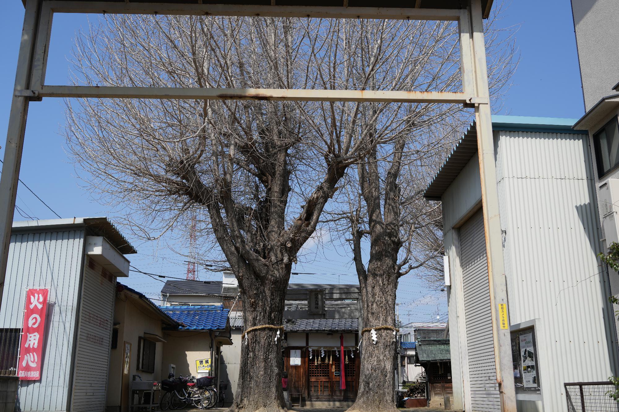 河北大神宮の正面入り口からみた本殿