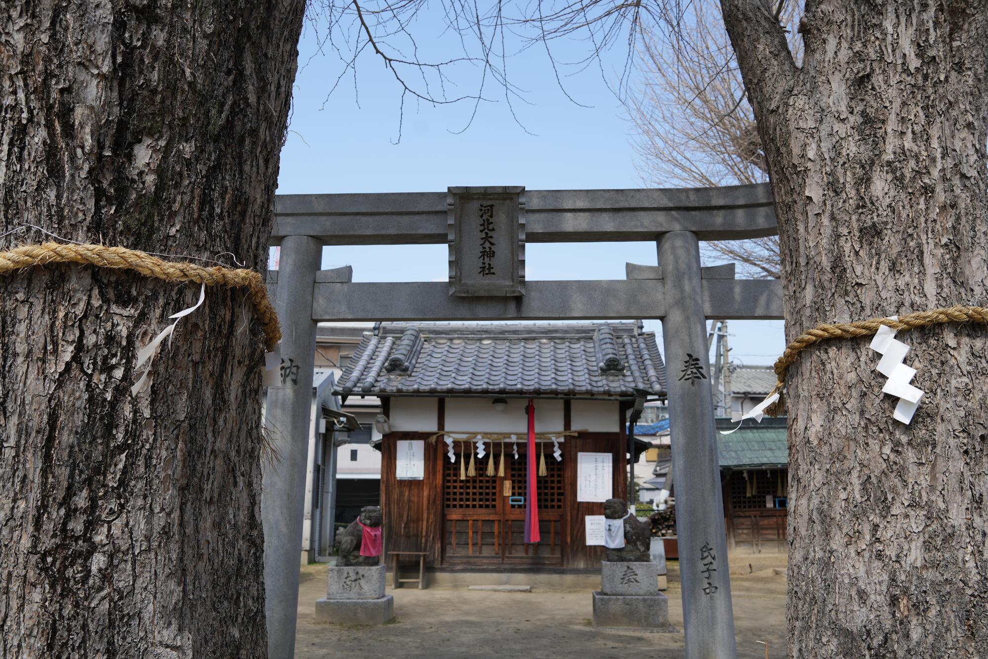 河北大神宮の正面入り口からみた本殿をアップした写真